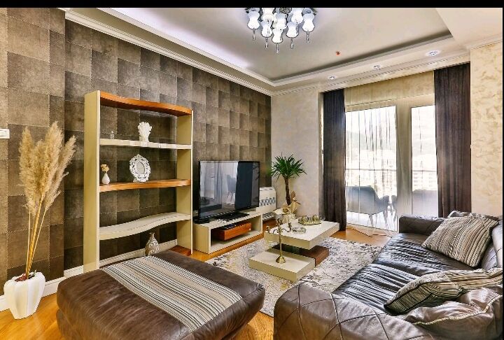 Luxury apartment Boris