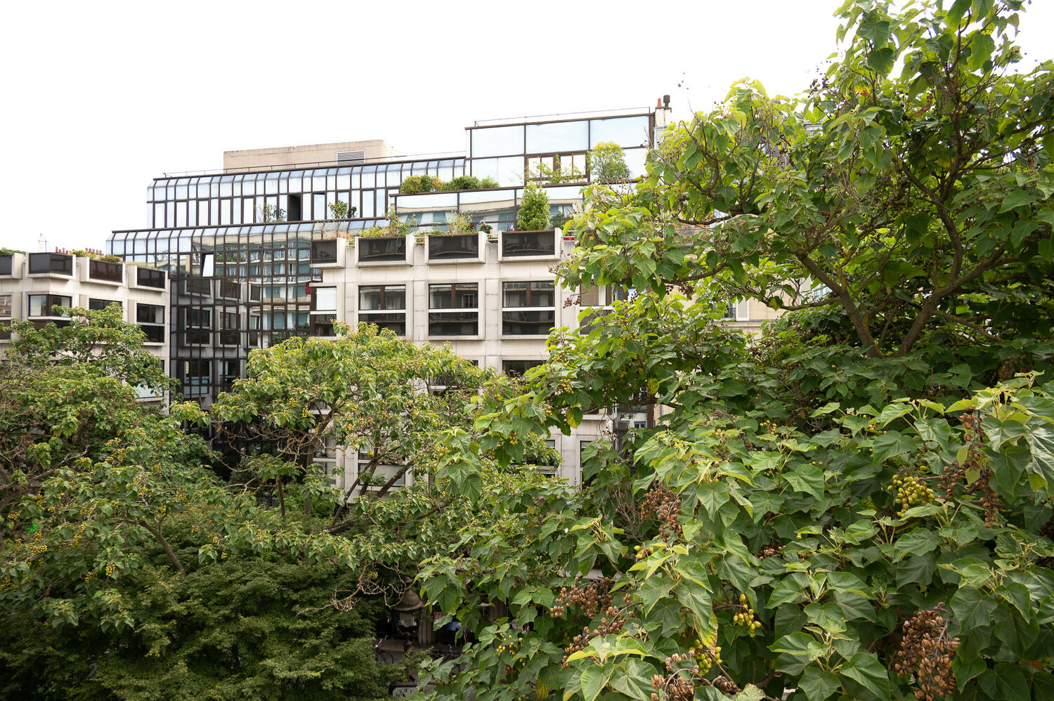 Beautiful, apartment, 5th, arrondissement, Paris
